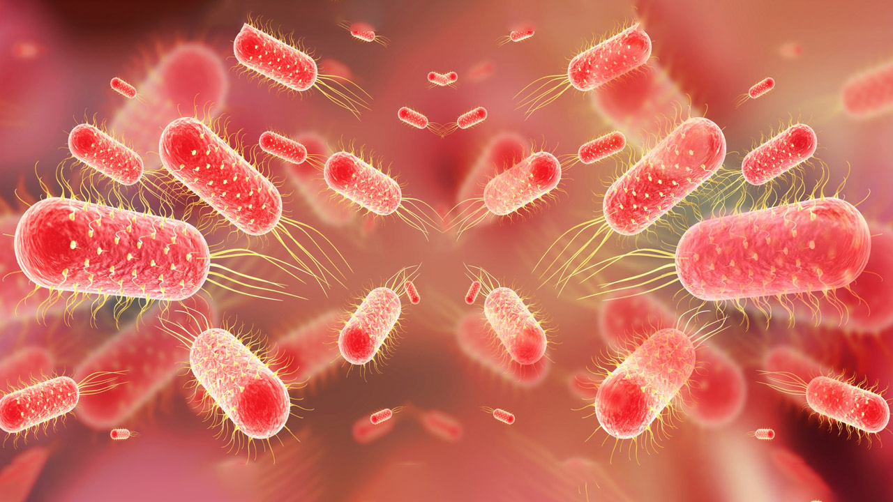 Typhoid Vaccine at Home