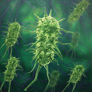 Shingles Vaccine at Home